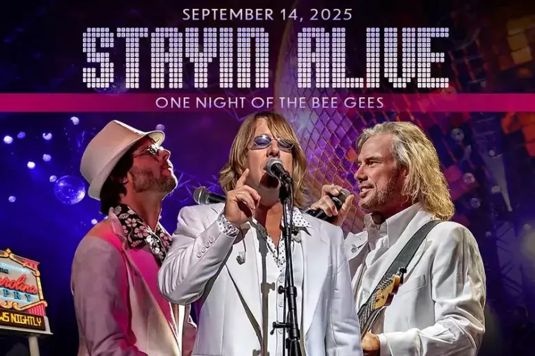 Stayin Alive: One Night of the Bee Gees Photo