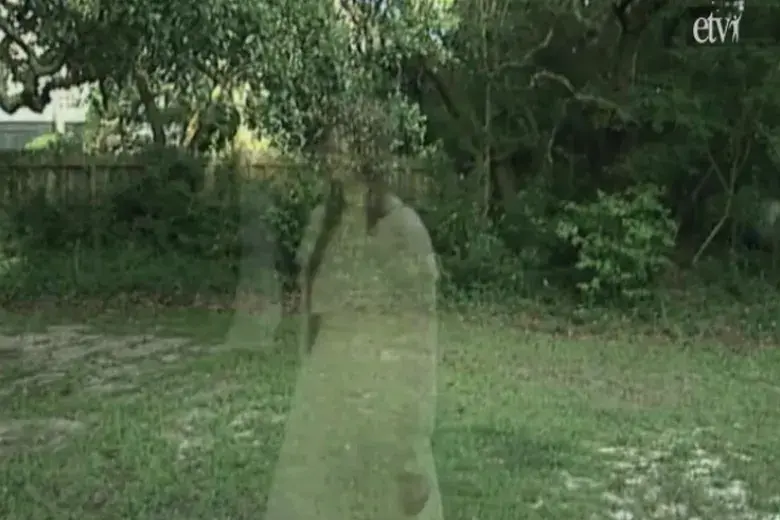 South Carolina Ghosts & Legends Volumes III Photo