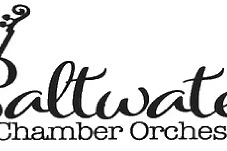 “Saltwater Chamber Orchestra to Perform at the Horry County Museum” Photo