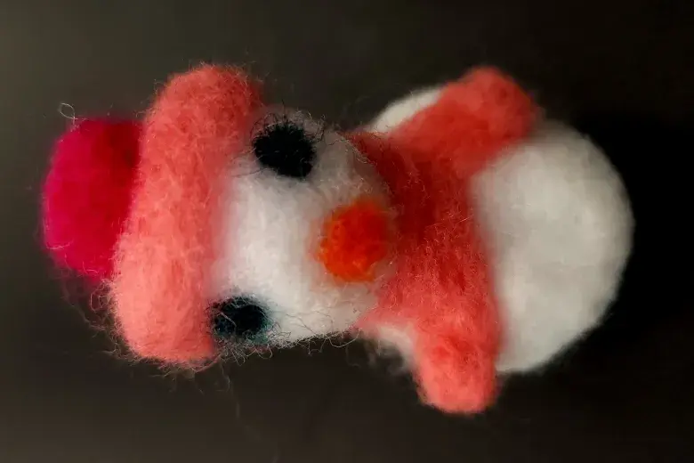 Felting Workshop at the Horry County Museum Photo