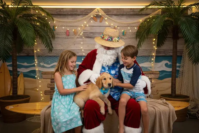 Santa Photos - Capture the Magic of Christmas! Photo