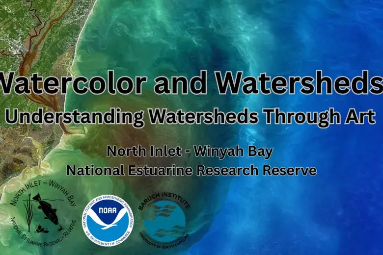 Watercolor and Watersheds: Understanding Watersheds Through Art Photo