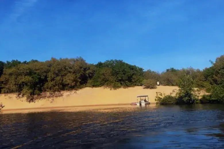 Saving Sandy Island Photo