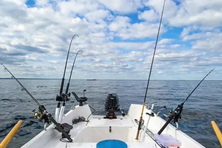 Voyager Deep Sea Fishing & Dolphin Cruises Photo 5