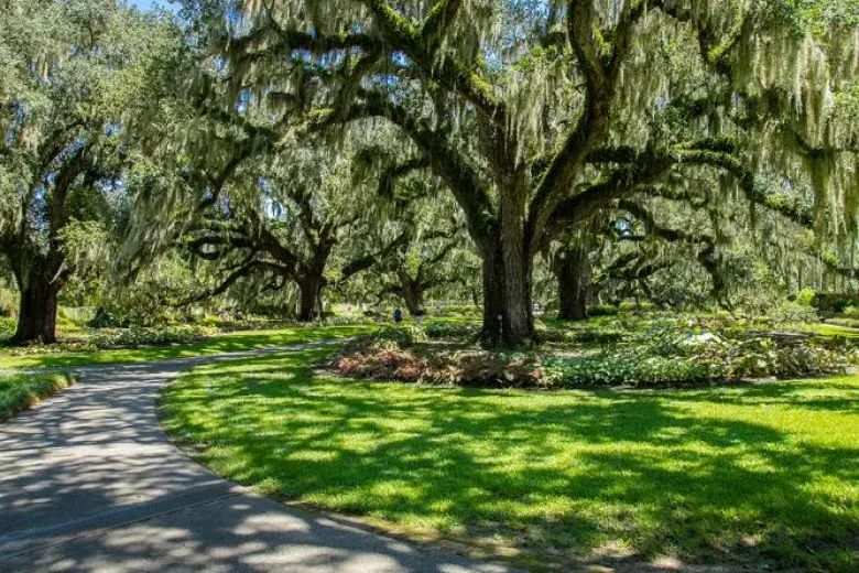 Brookgreen Gardens Photo