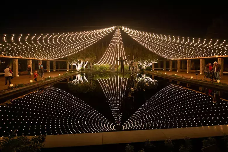 Nights of A Thousand Candles - Brookgreen Gardens Photo 3