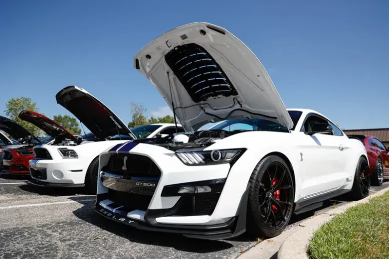 Mustang Week Photo