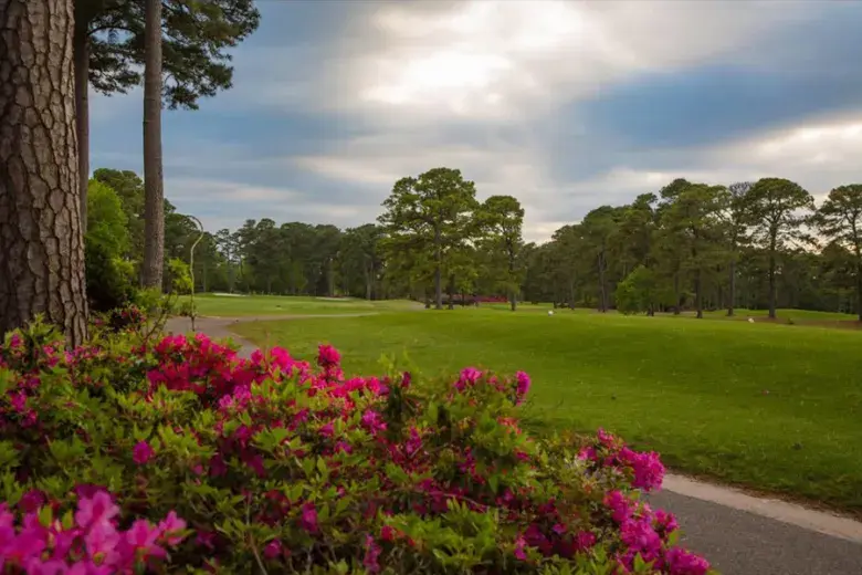 Myrtle Beach Golf Directors Photo