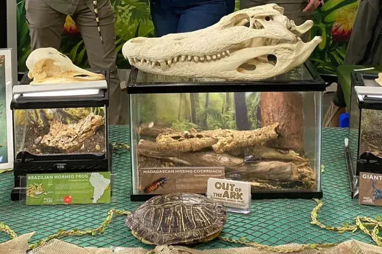 Out of the Ark Educational Animal Shows Photo