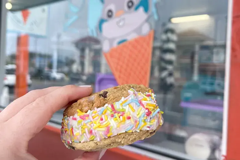 No No Nuts Ice Cream Photo 2