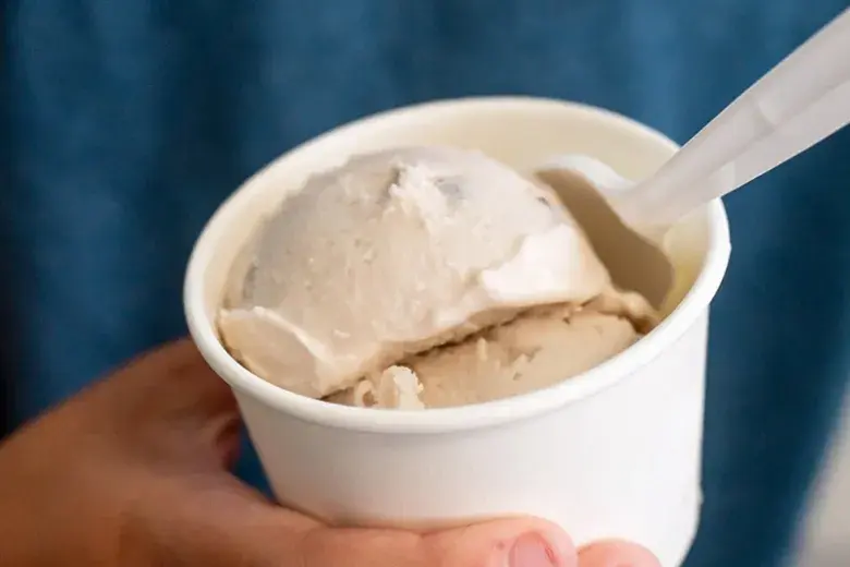 No No Nuts Ice Cream Photo 3