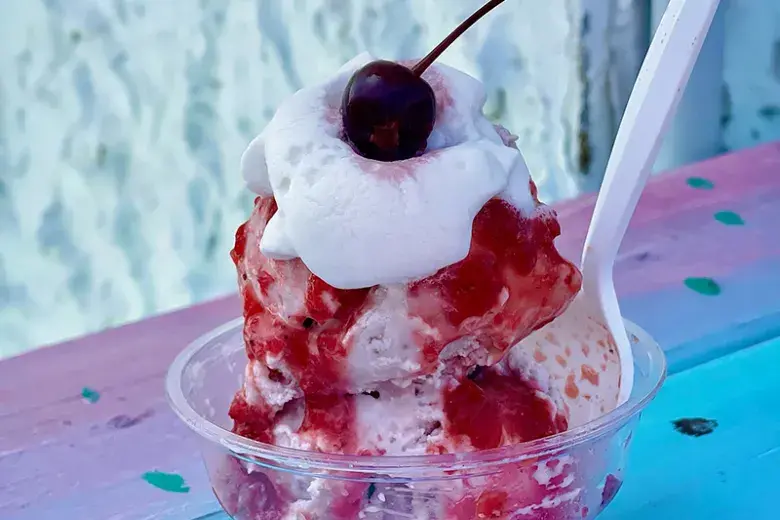 No No Nuts Ice Cream Photo 4