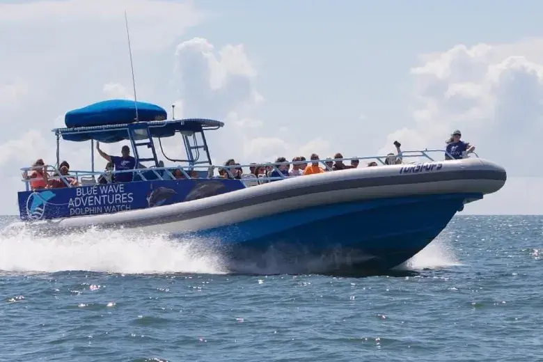 Blue Wave Adventures Dolphin Watch Tour Photo 3