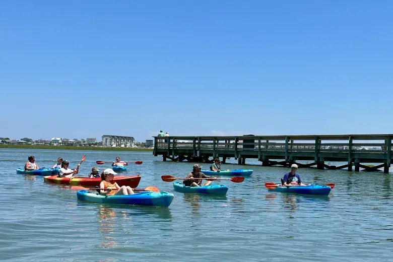 Crazy Sister Dolphin Tours & Cruises Photo 5