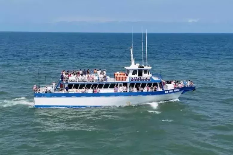 Crazy Sister Dolphin Tours & Cruises Photo