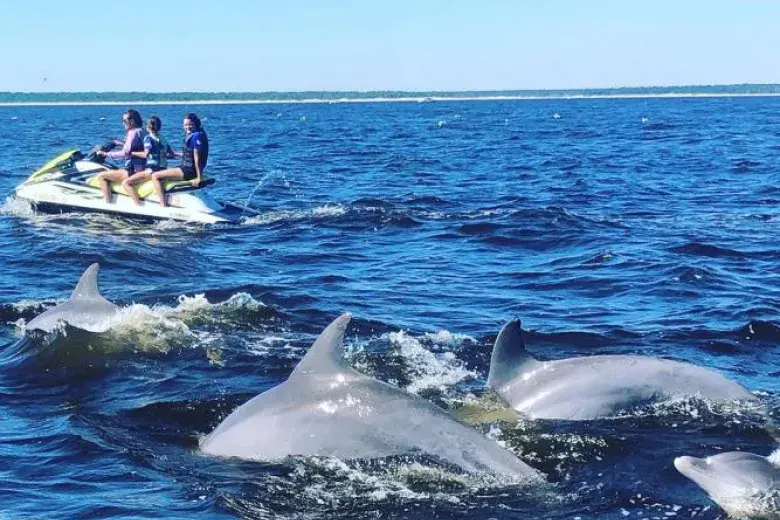 Action Water Sportz Photo