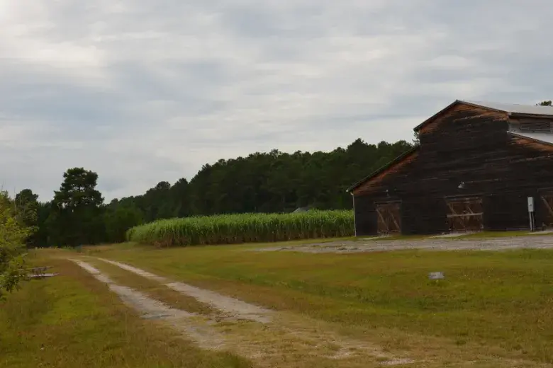 Freewoods Farm Photo 2