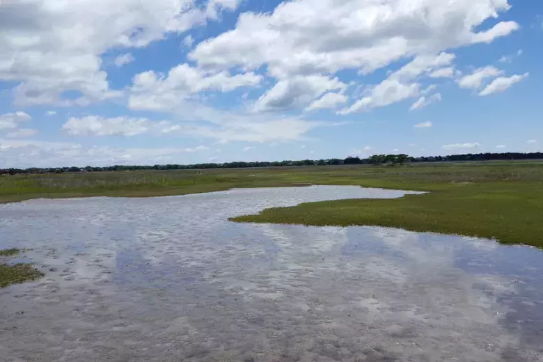 Hobcaw Barony Photo 2