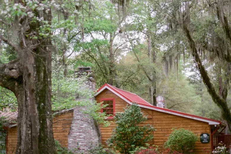 Hopsewee Plantation Photo 4