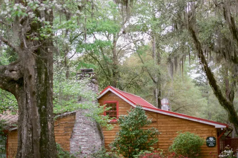 Hopsewee Plantation Photo 4