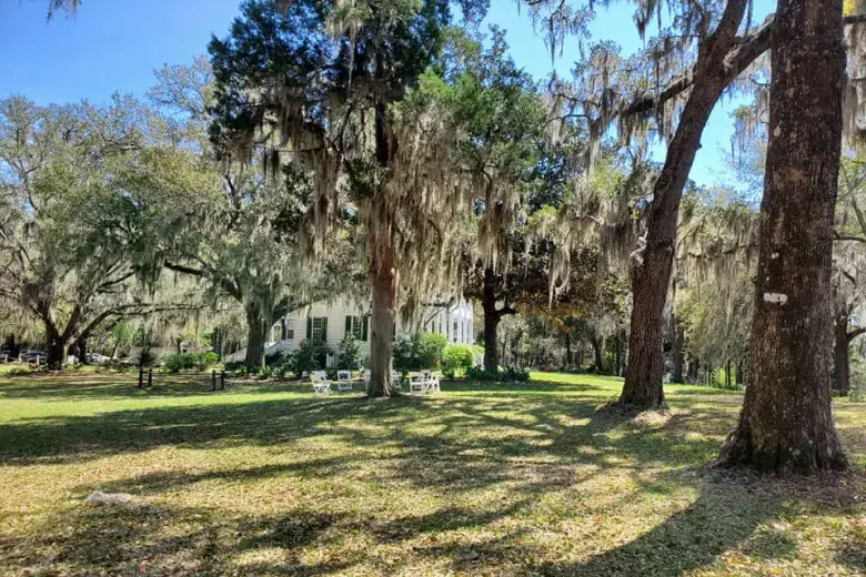 Hopsewee Plantation Photo 2