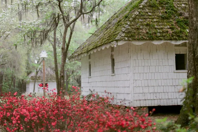 Hopsewee Plantation Photo 5