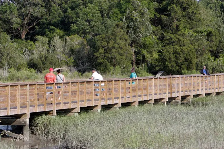 Huntington Beach State Park Photo 3