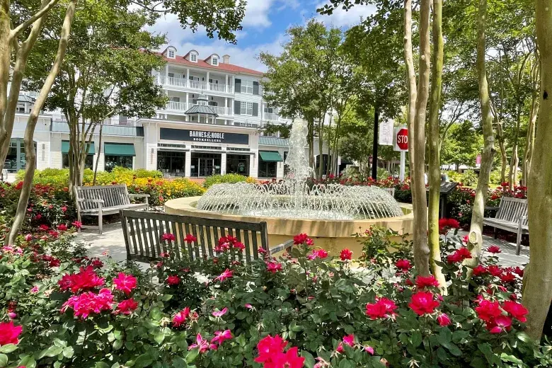 The Market Common Photo