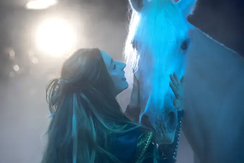 Medieval Times Dinner & Tournament Photo 6