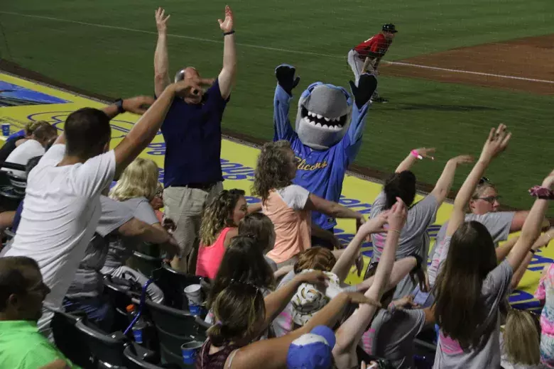 Myrtle Beach Pelicans Photo 5