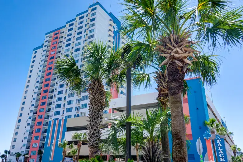 The Palace Resort Photo 6