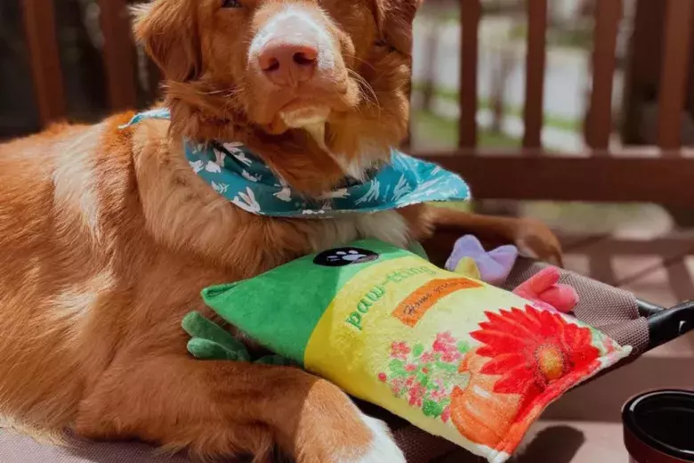 Pet Supplies Plus Visit Myrtle Beach