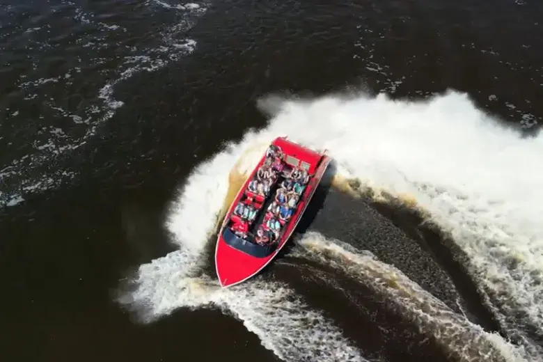 Southern Shores Island & Dolphin Cruises Photo 4