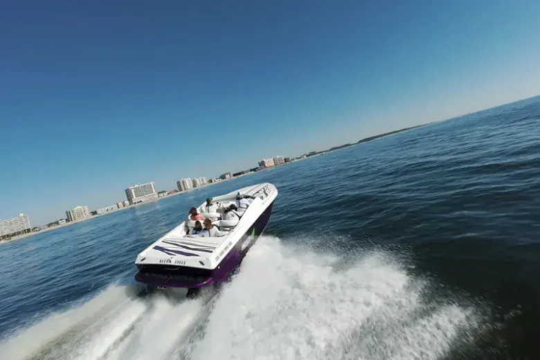 Southern Shores Island & Dolphin Cruises Photo