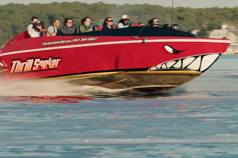 Southern Shores Island & Dolphin Cruises Photo 2