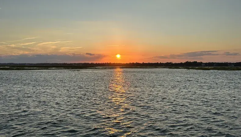 Crazy Sister Dolphin Tours & Cruises - $3 Off Photo