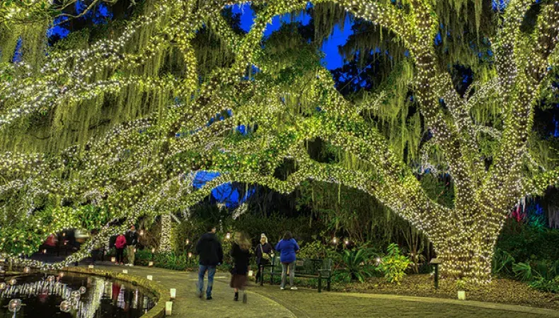 Nights of A Thousand Candles - Brookgreen Gardens Photo 5