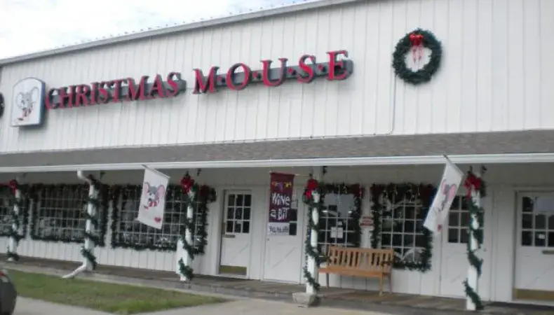 The Christmas Mouse MB Photo