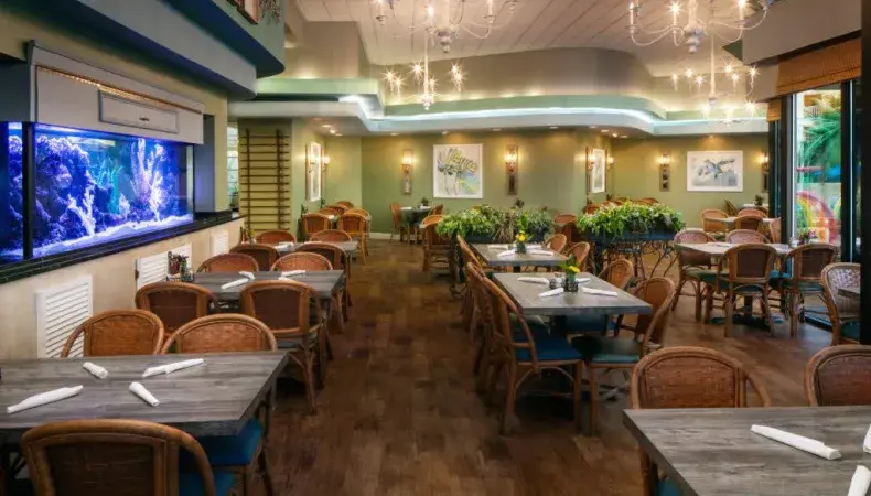 SEA LEVEL Level 1 Photo 5