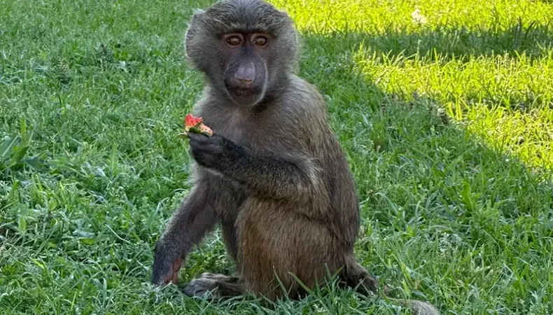 Wild Woods Farm Photo 3