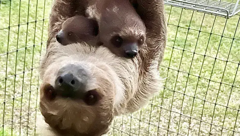 Wild Woods Farm Photo