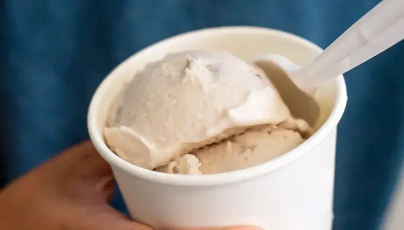 No No Nuts Ice Cream Photo 3