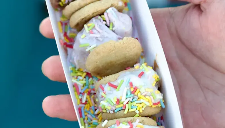 No No Nuts Ice Cream Photo