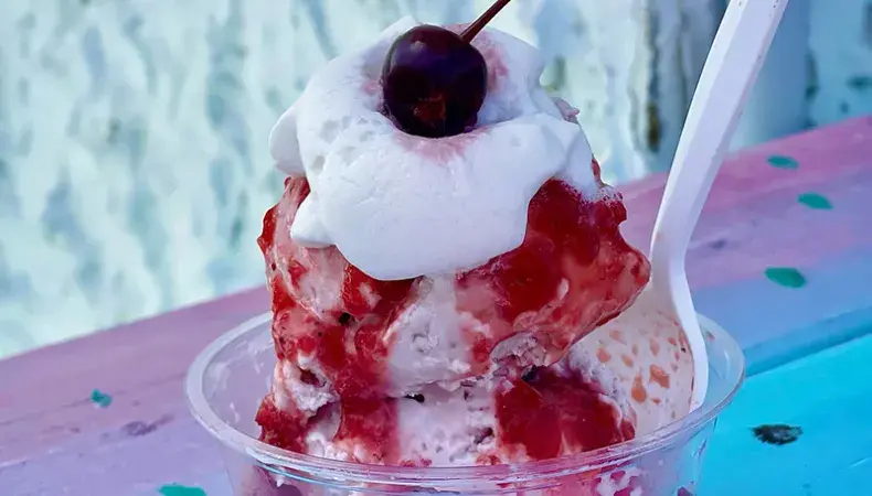 No No Nuts Ice Cream Photo 4