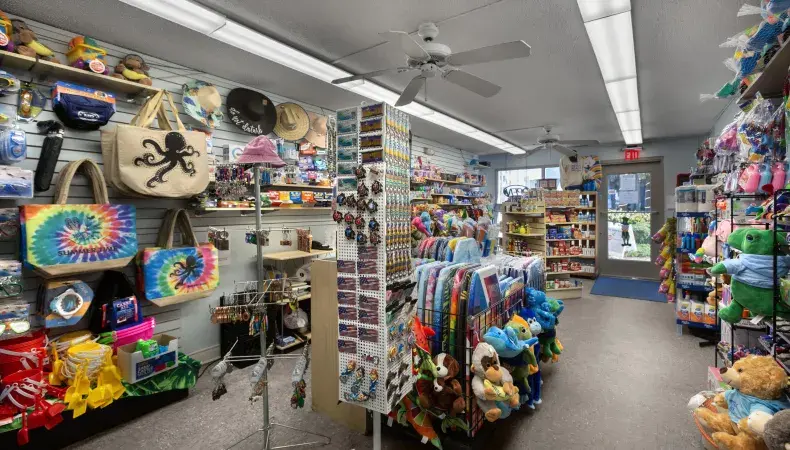 Sea Crest Oceanfront Resort Photo 9