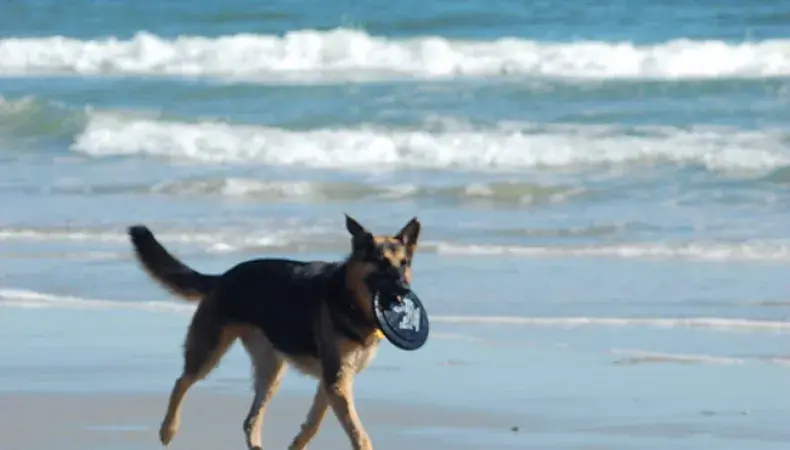 Booe Realty Vacation Rentals Photo 6