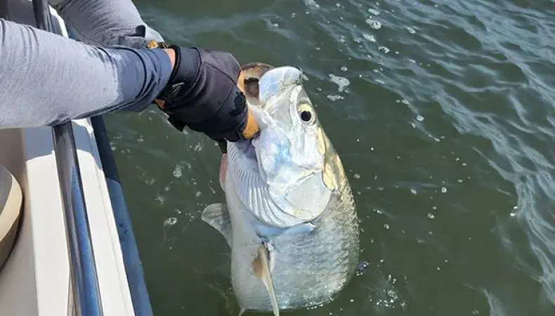 Harvest Moon Fishing Charters Photo 2