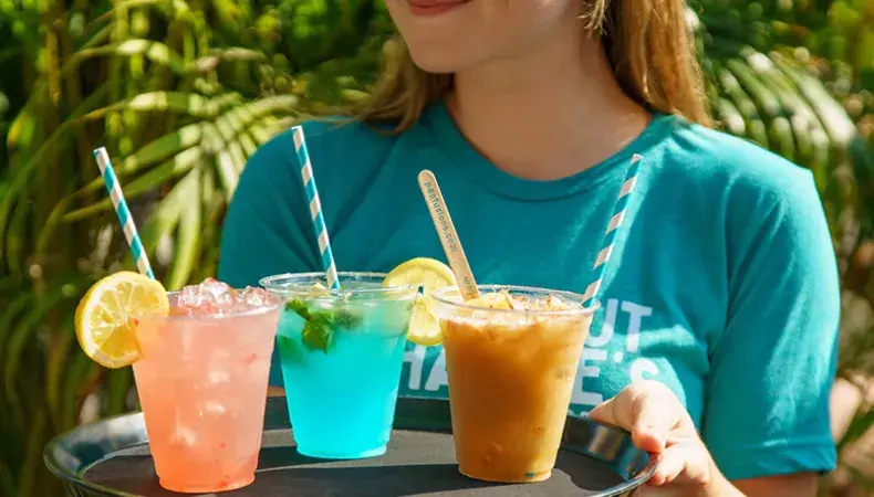 Coconut Charlie's Beach Bar & Grill Photo 3