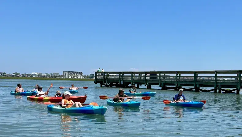 Crazy Sister Boat Tours & Dolphin Cruises Photo 4