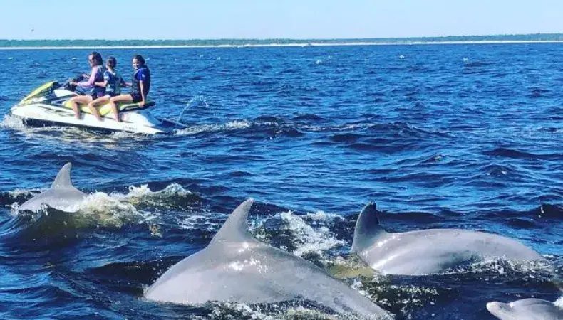 Action Water Sportz Photo